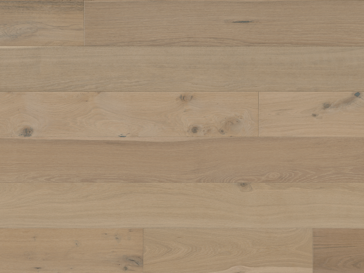 Avalon - Euro Oak Elyan