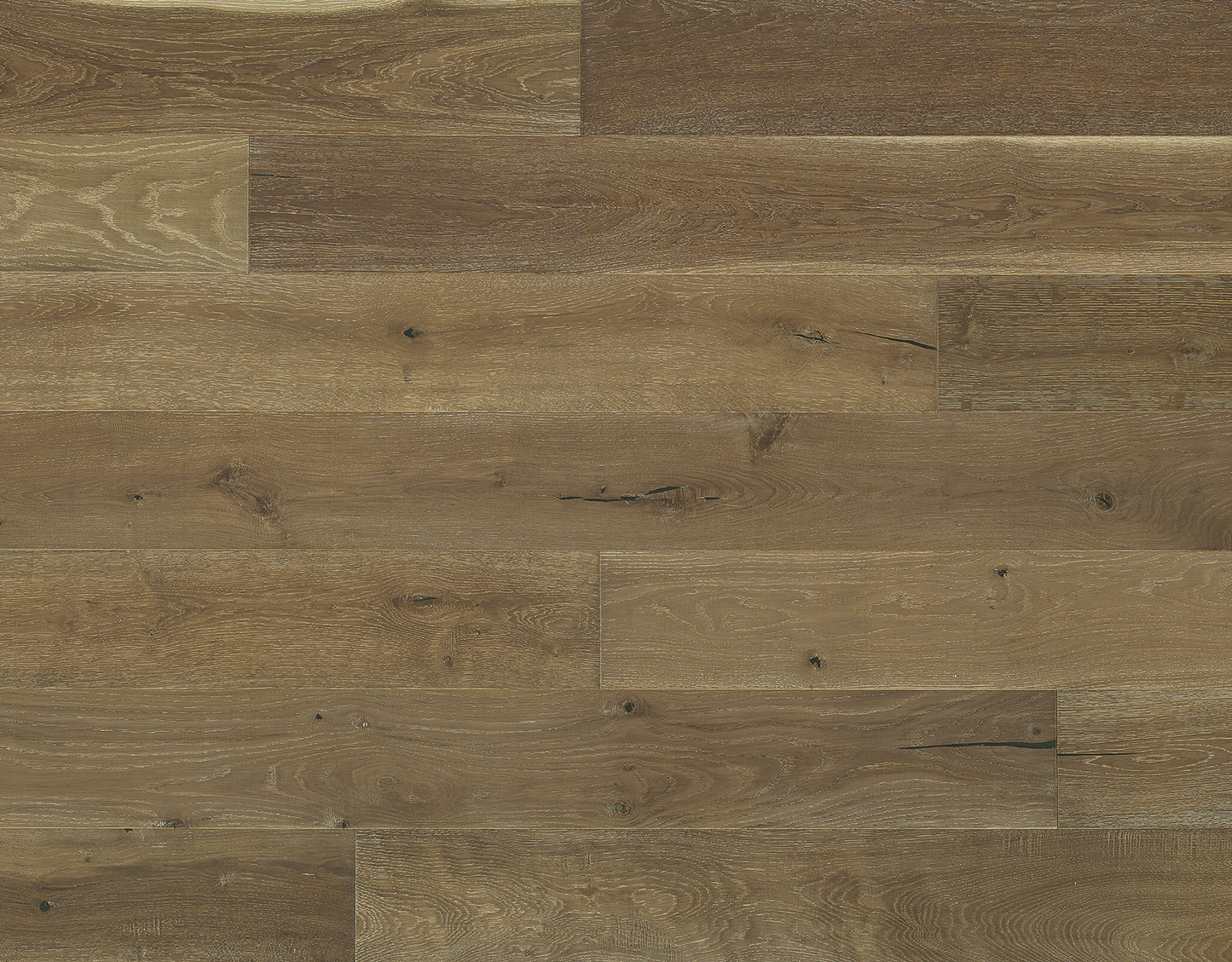 Costa - Euro Oak Testa