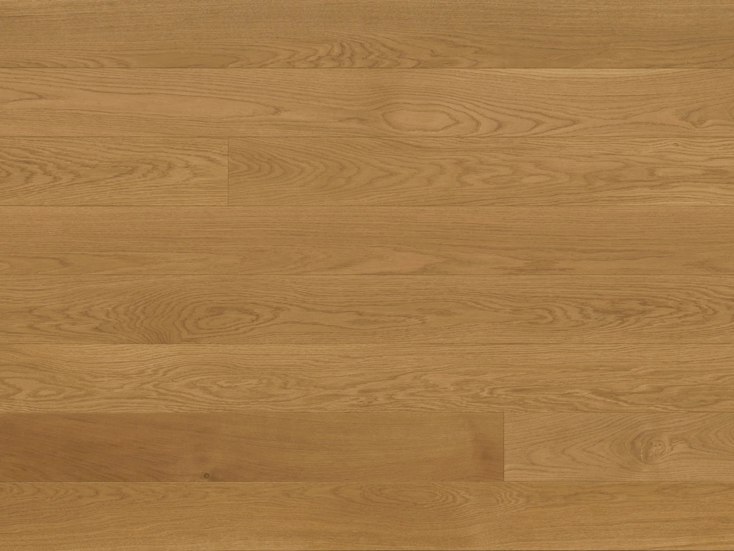 Europa - Euro Oak Sava