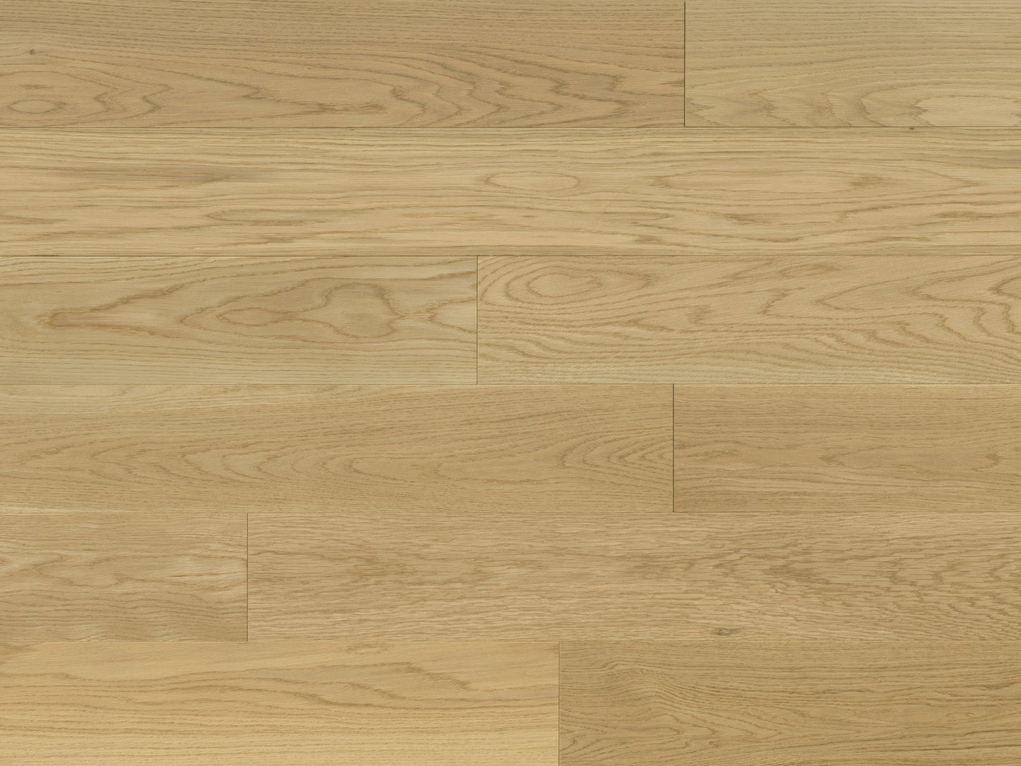Meadow - White Oak Primrose