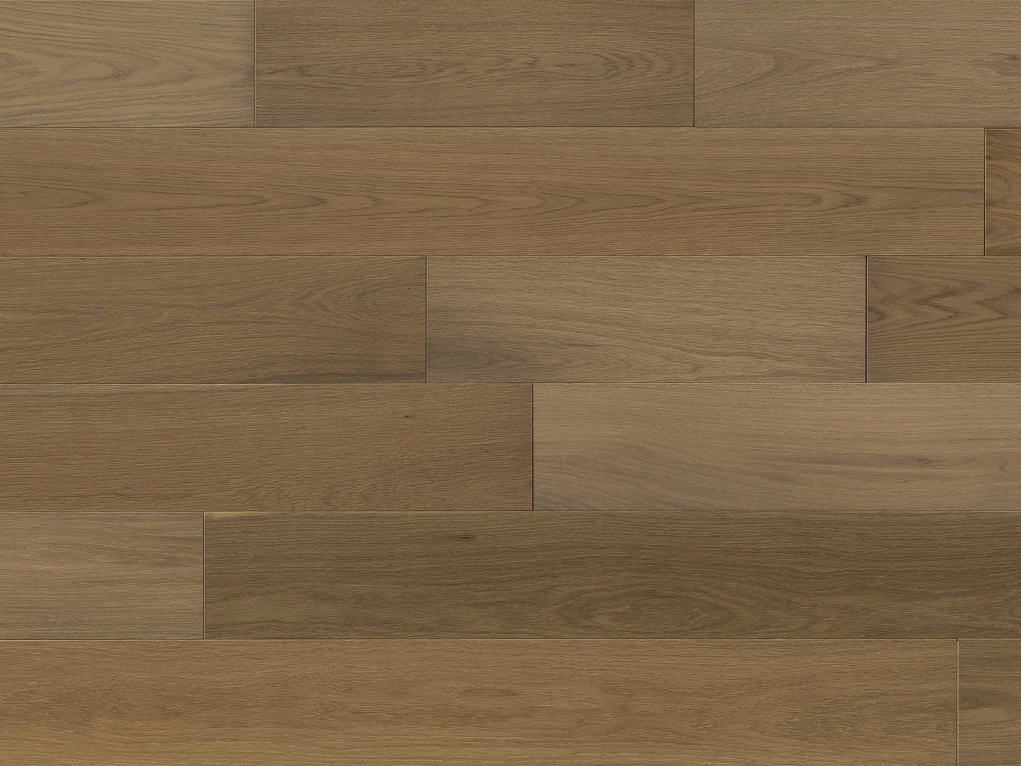 Sereno - White Oak Pavone