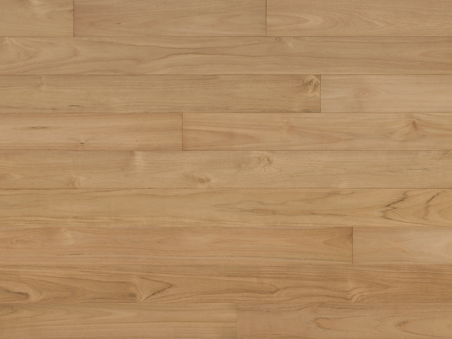 True Teak - Bleached - Prime