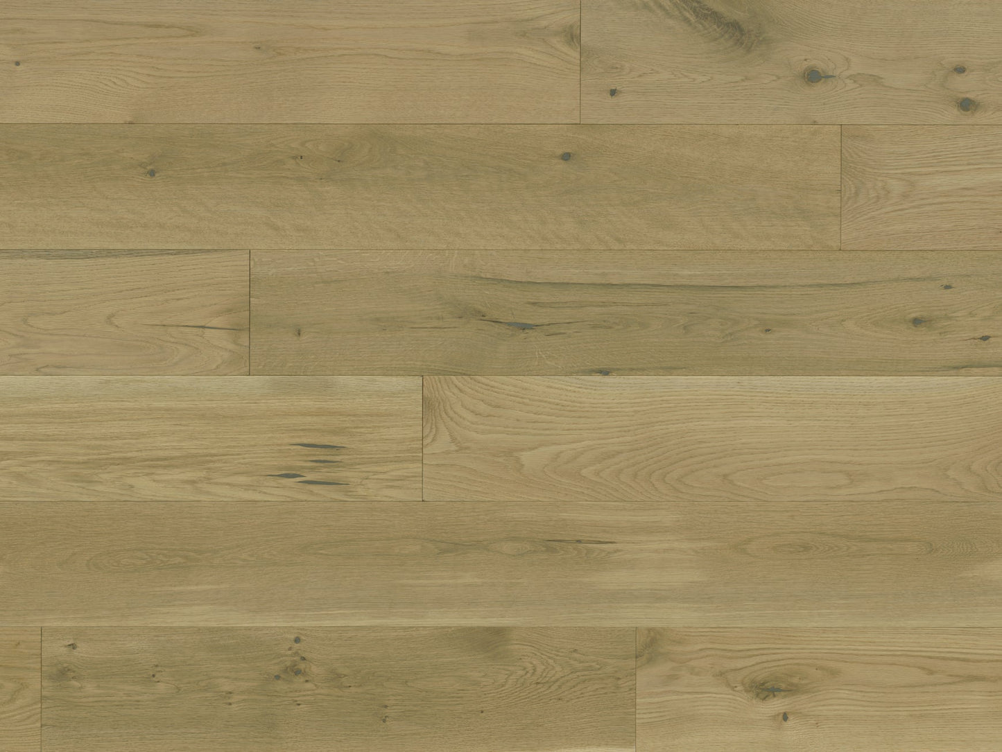 Sylvania - White Oak Cambria