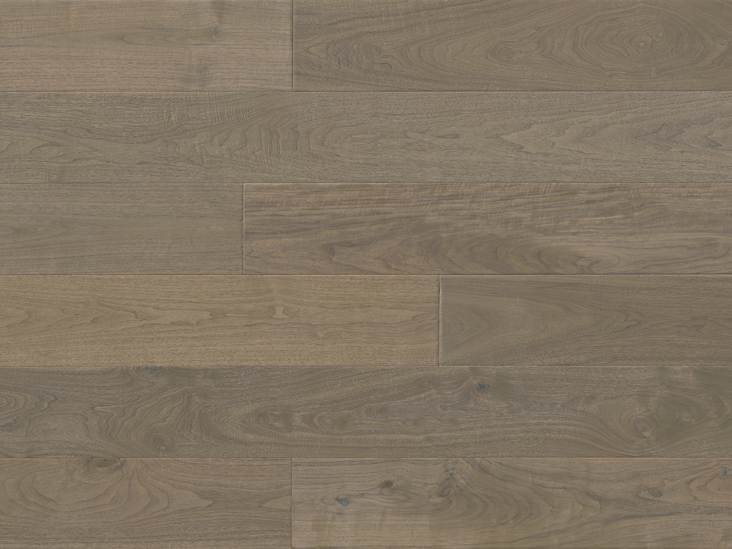Provence II - Walnut Arzens