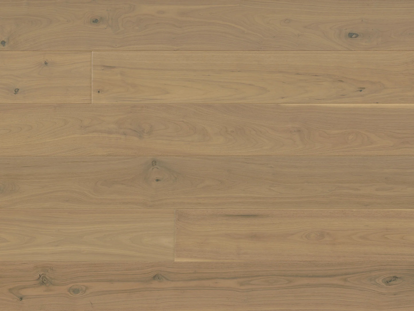 Provence III - Walnut Archail