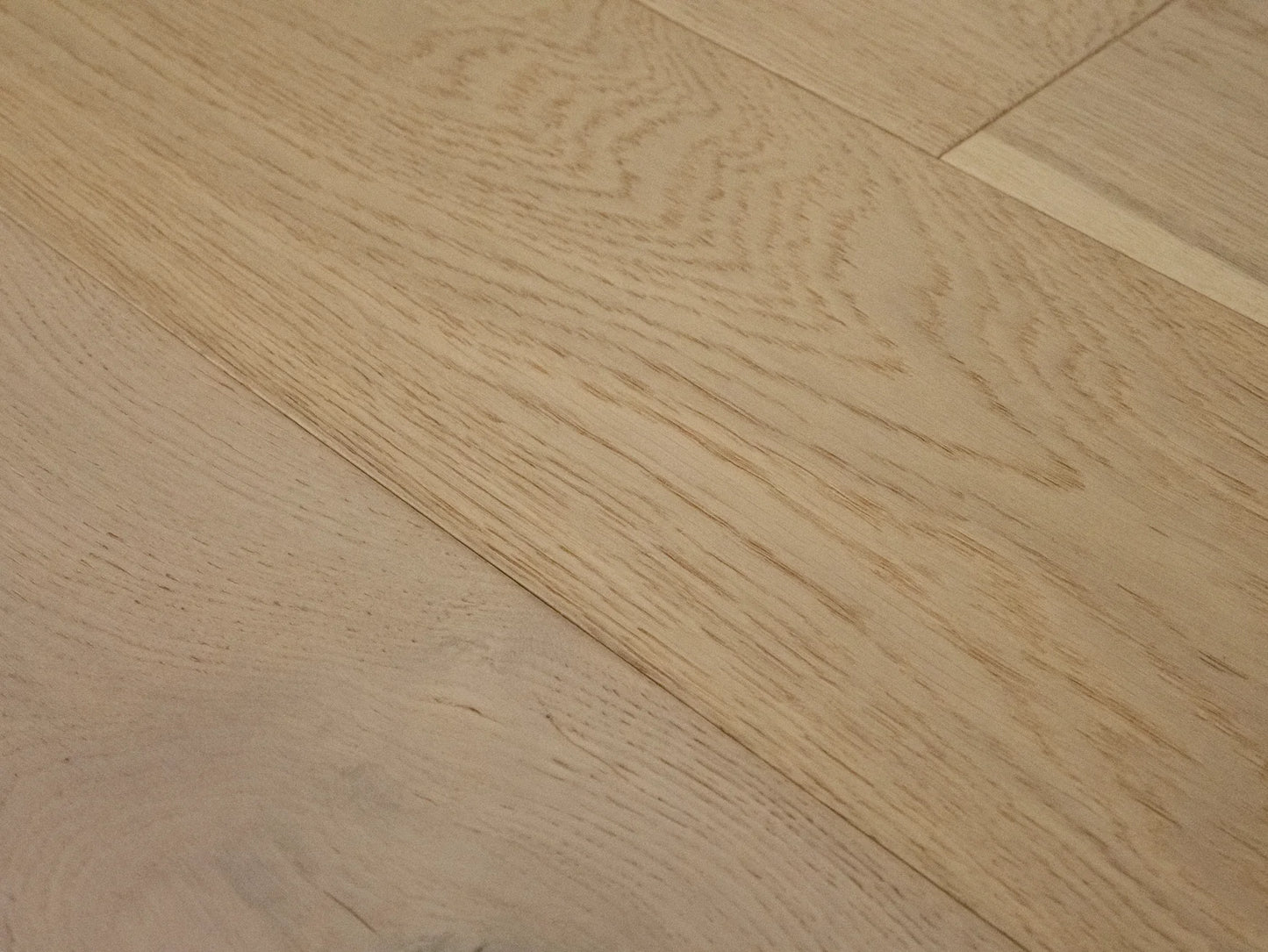 Avalon - Euro Oak Galahad