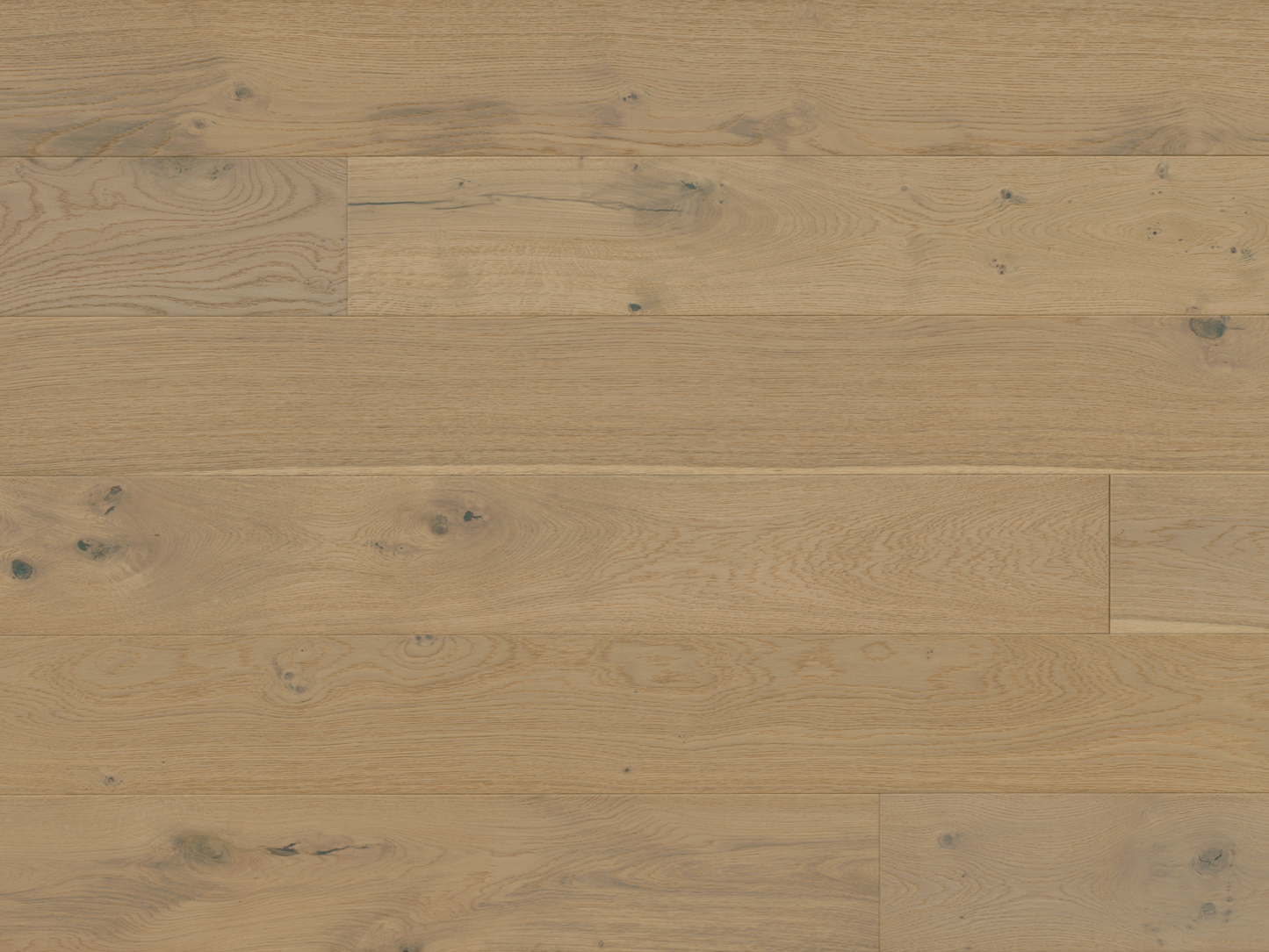 Avalon - Euro Oak Galahad