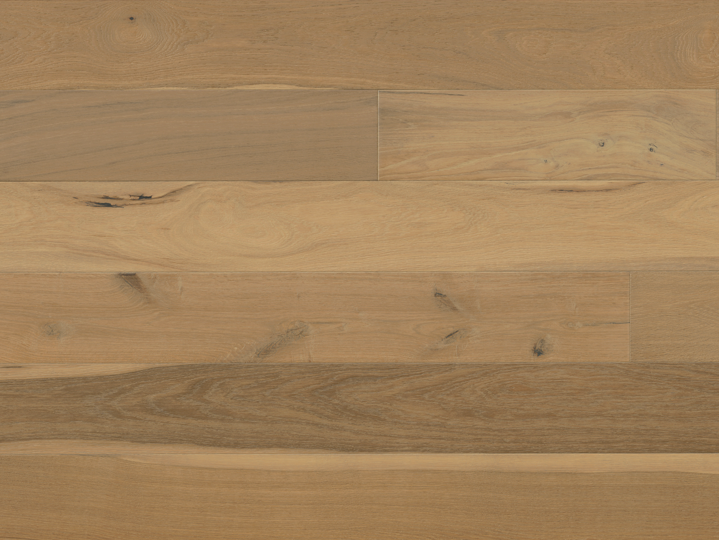 Avalon - Euro Oak Percival