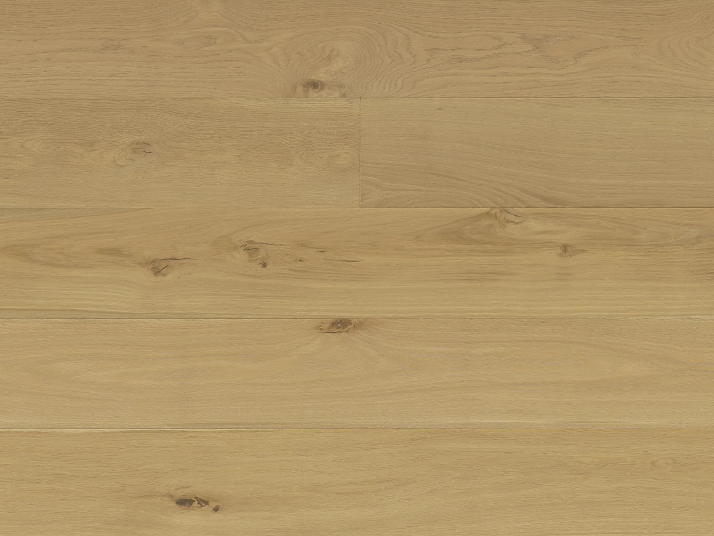Terreno - Euro Oak Conte