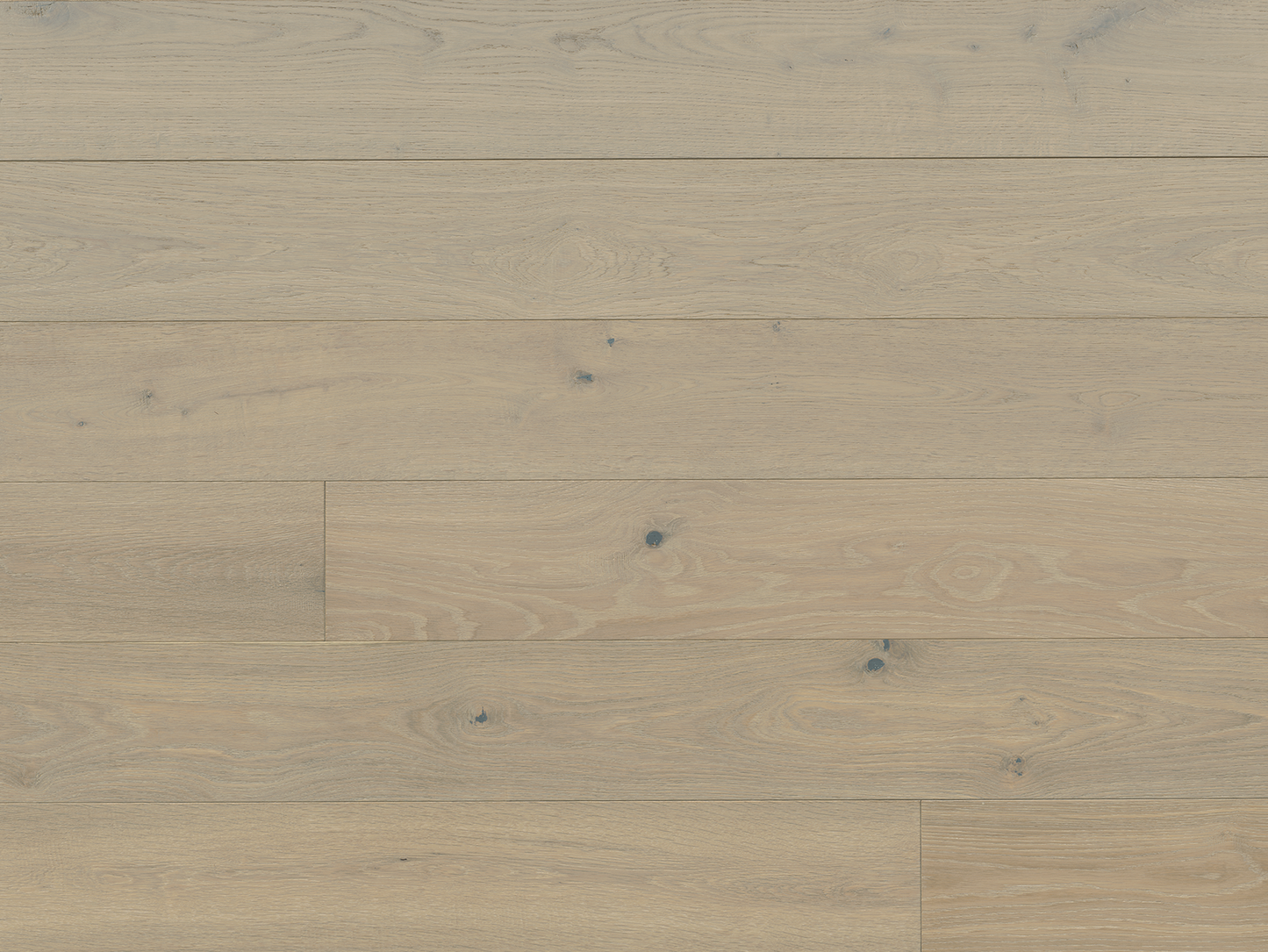Costa - Euro Oak Ancona