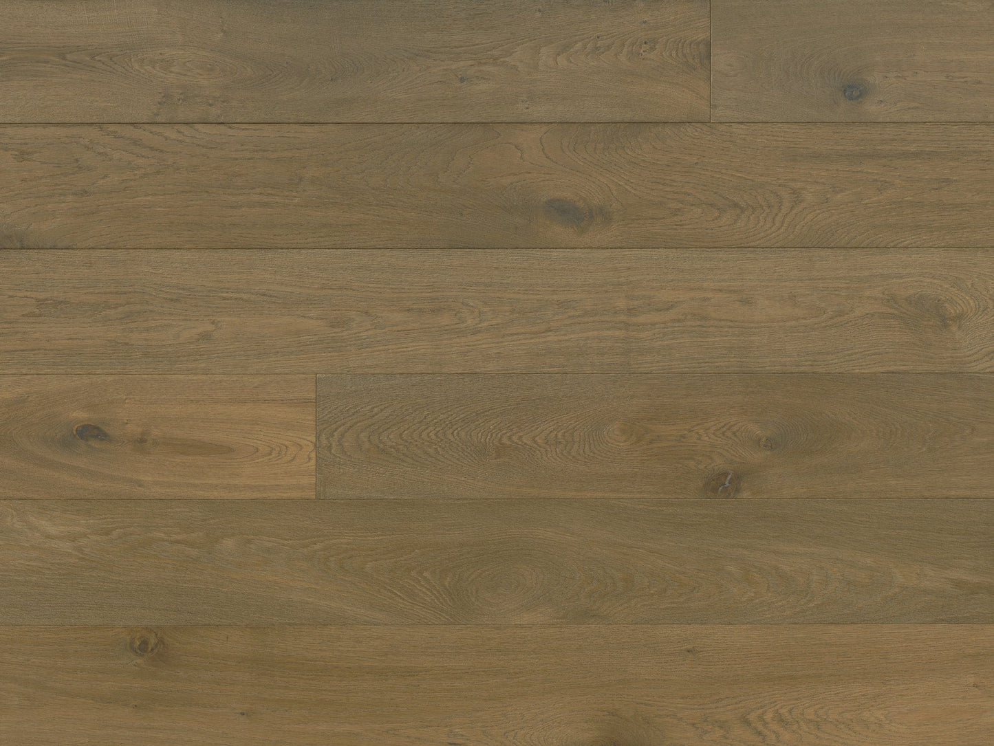 Costa - Euro Oak Cavoli