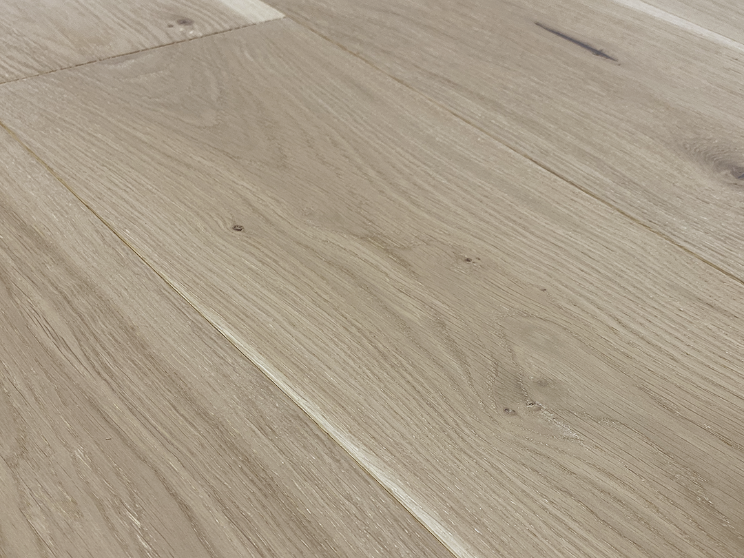 Costa - Euro Oak Leone