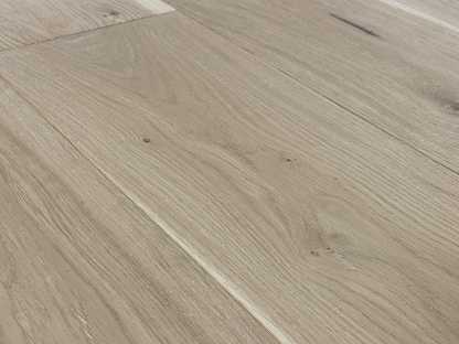 Costa - Euro Oak Leone