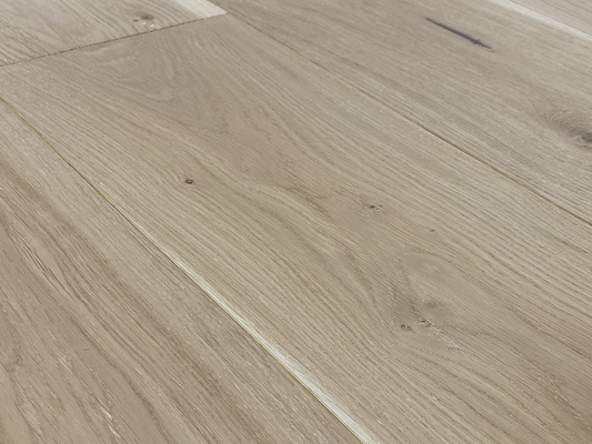 Costa - Euro Oak Leone