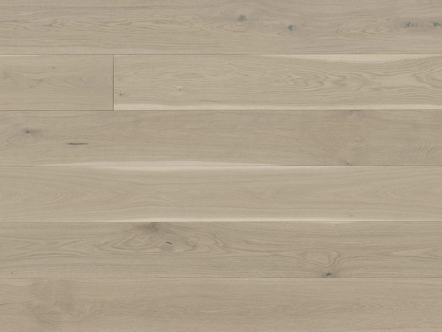 Costa - Euro Oak Leone