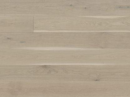 Costa - Euro Oak Leone