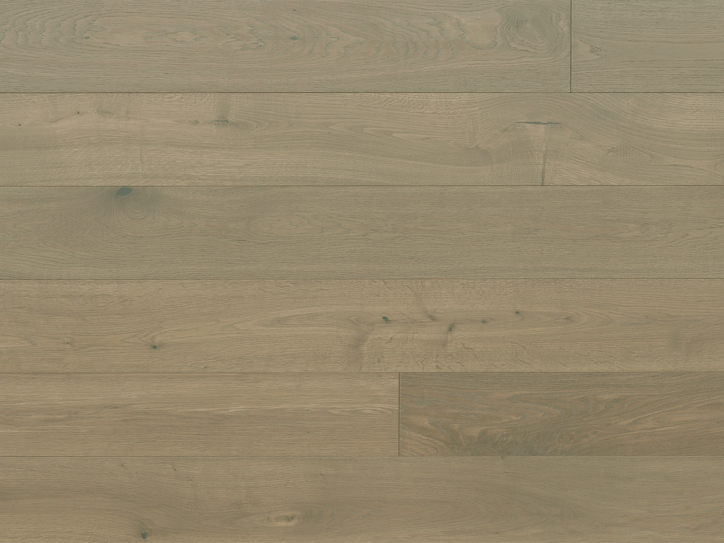 Costa - Euro Oak Vela