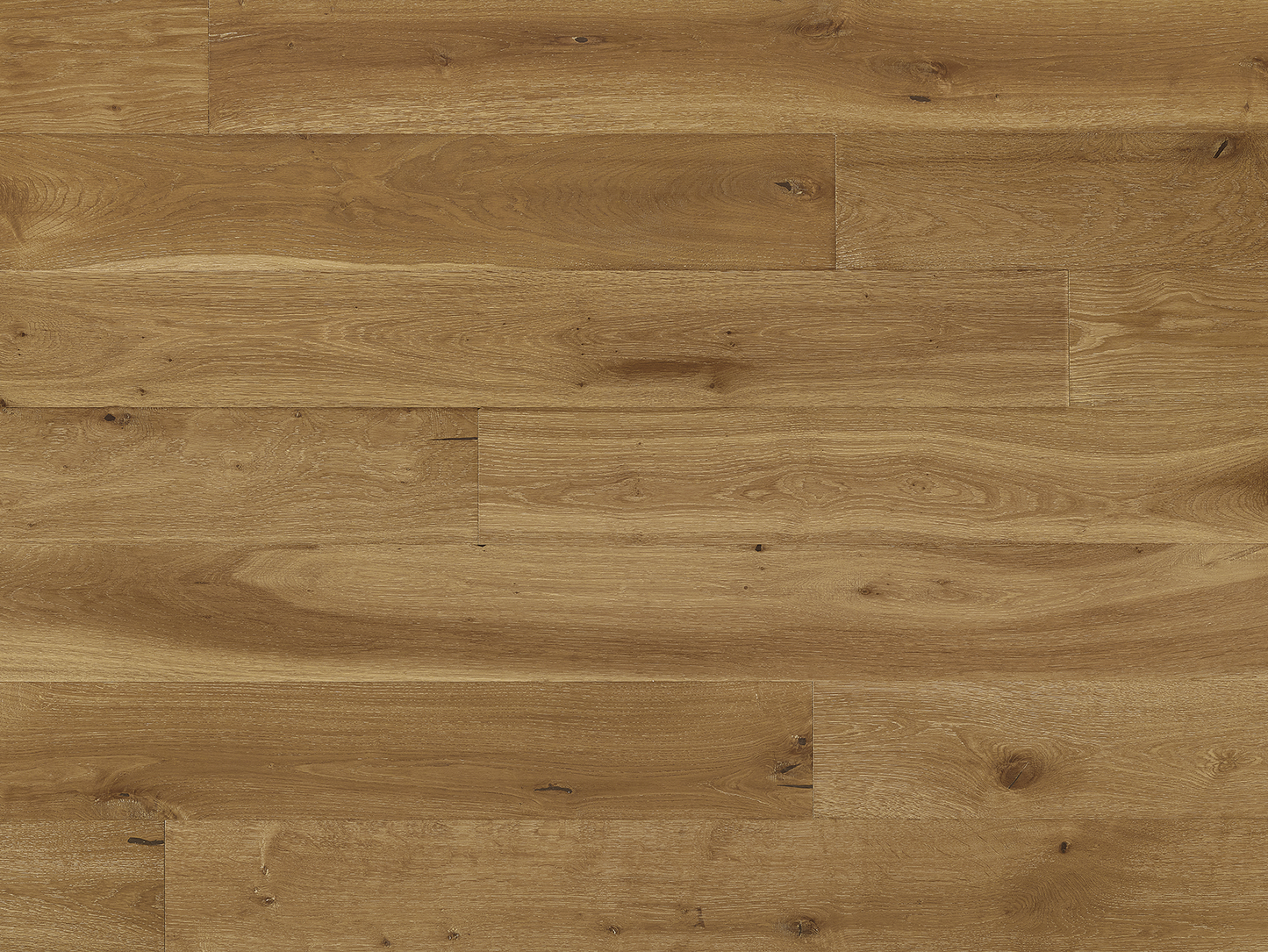 Costa - Euro Oak Conero