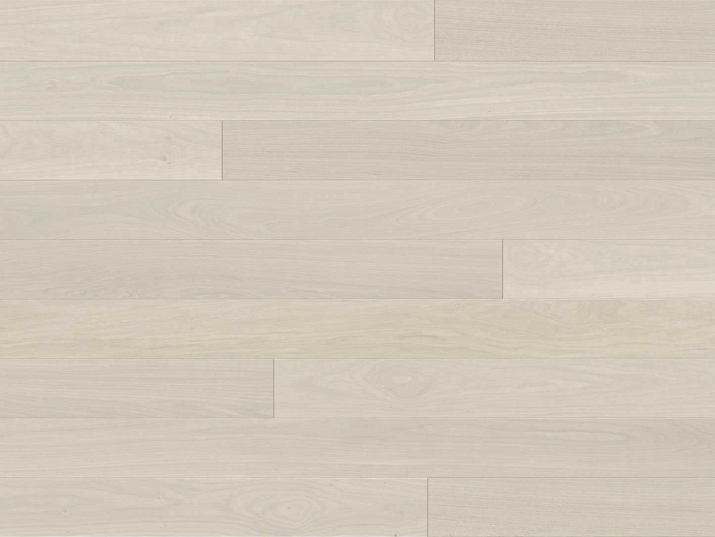 Europa - Euro Oak Elbe