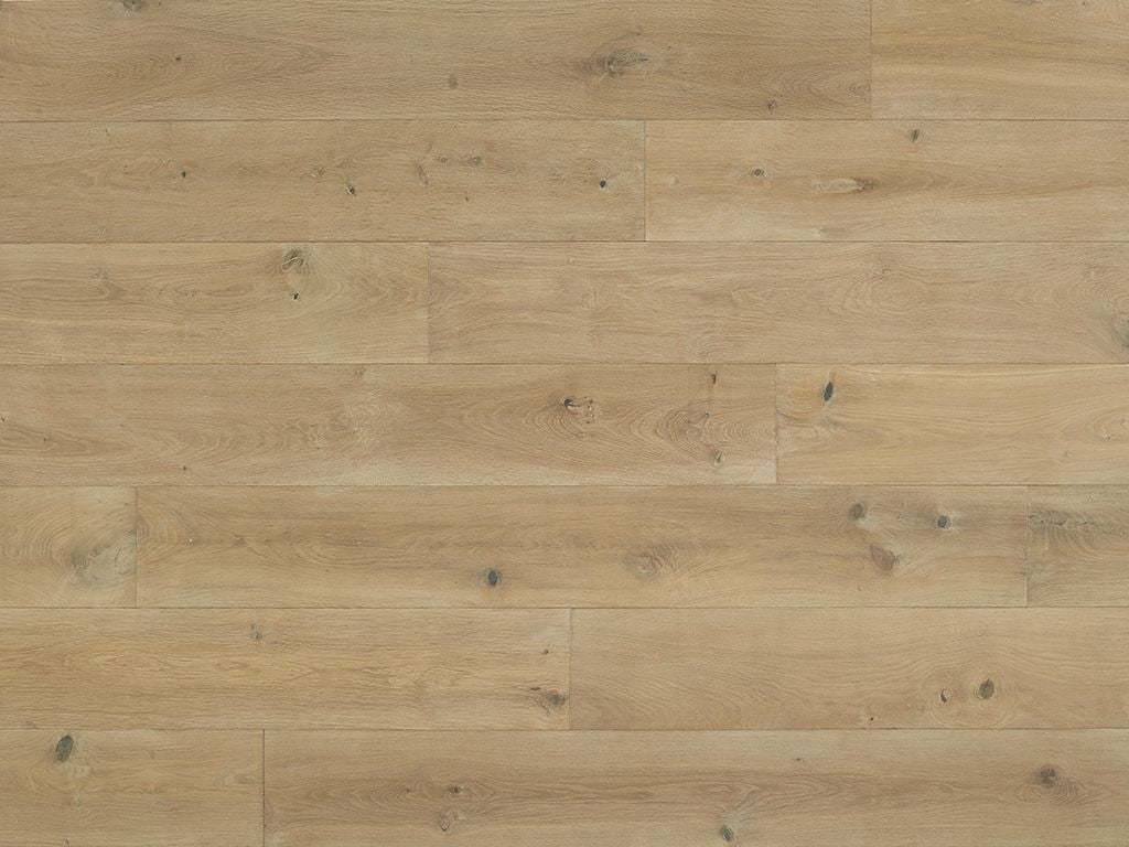 Costa - Euro Oak Anzio