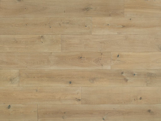 Costa - Euro Oak Anzio