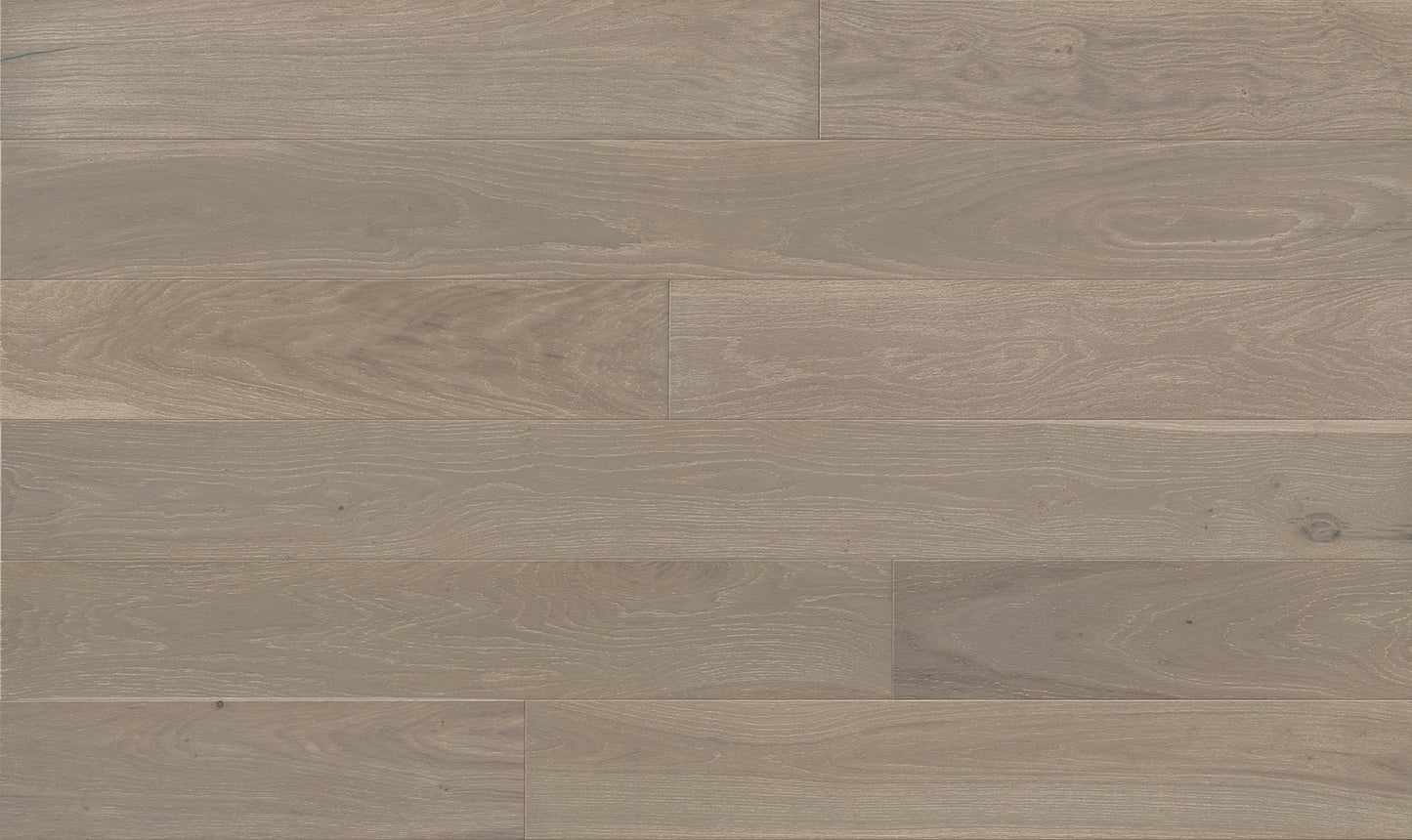 Provence II - Euro Oak Leran