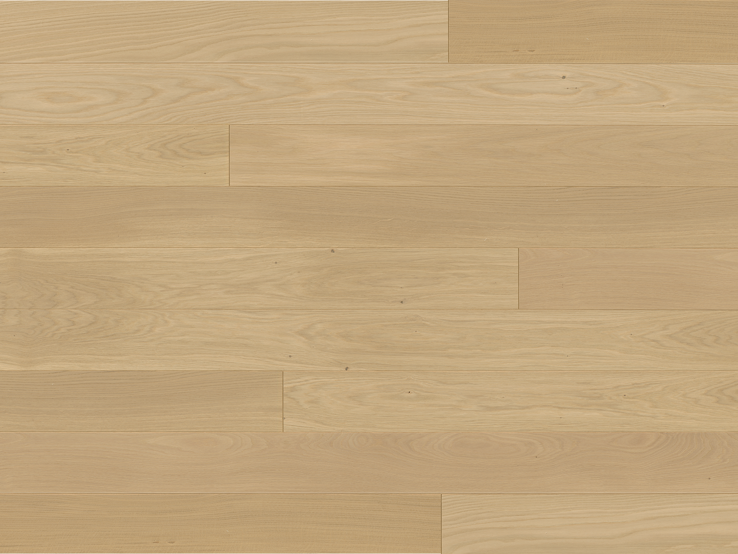 Europa - Euro Oak Loire