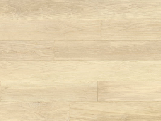 Meadow - White Oak Daisy