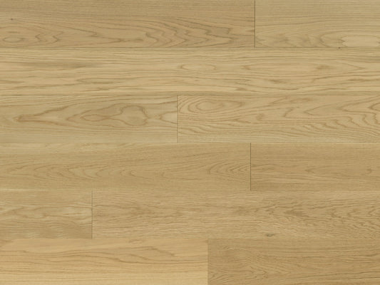 Meadow - White Oak Primrose