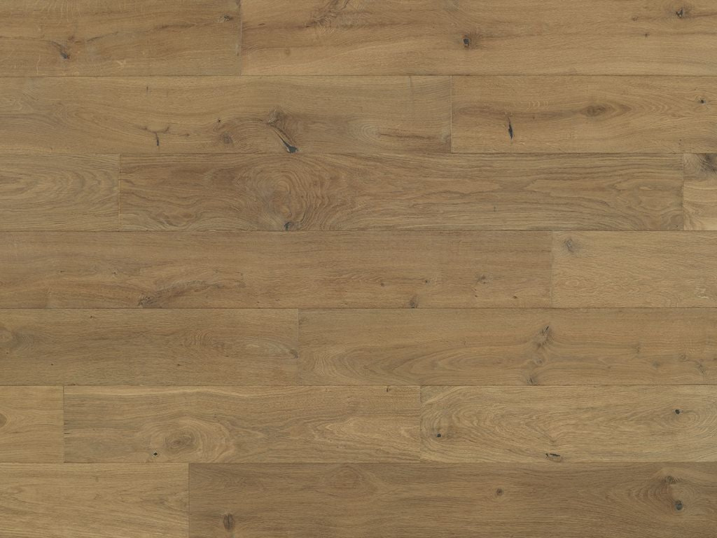 Costa - Euro Oak Volpe