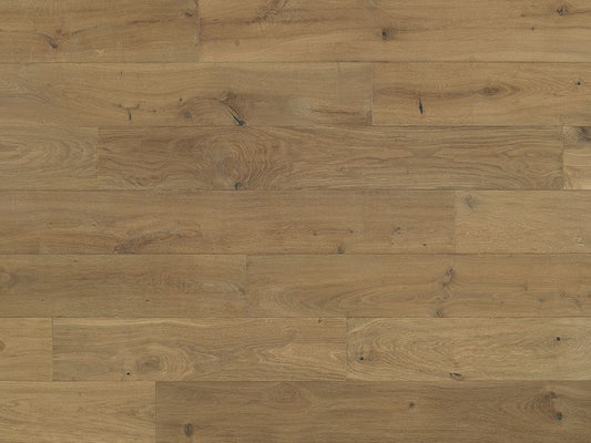 Costa - Euro Oak Volpe