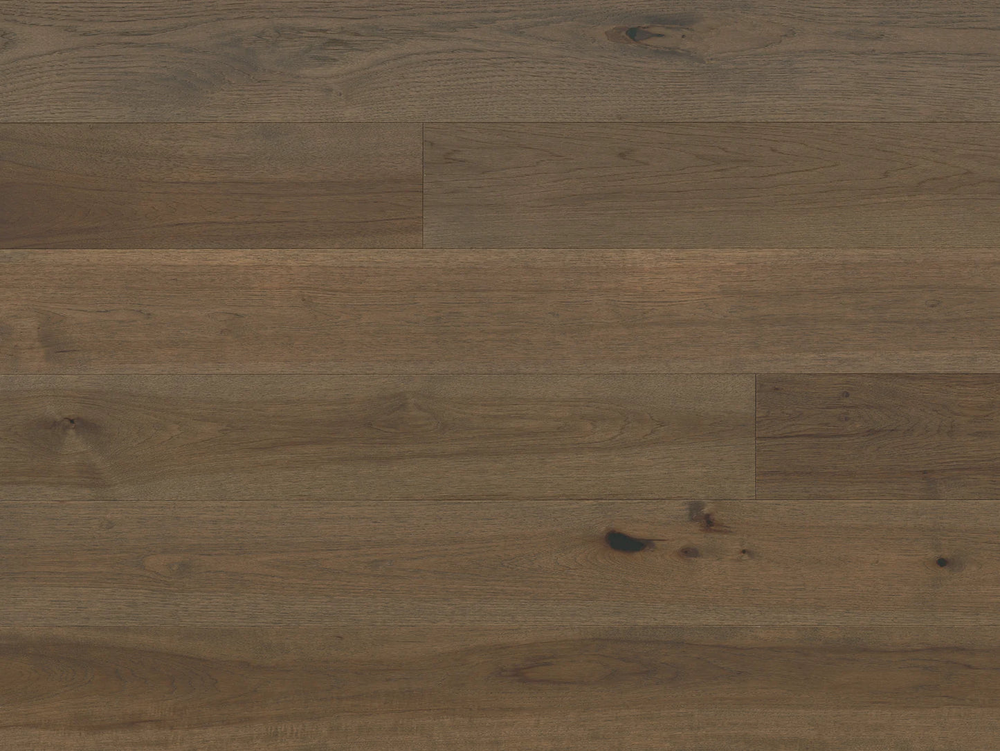 Provence III - Hickory Pelisan
