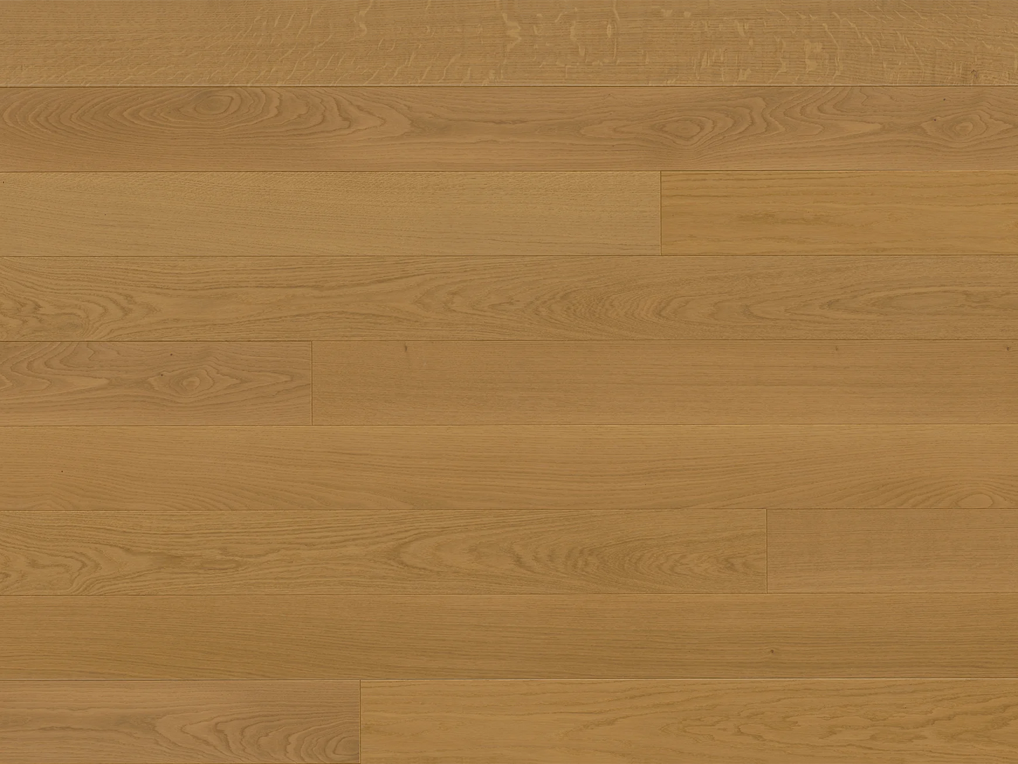 Europa - Euro Oak Rhine