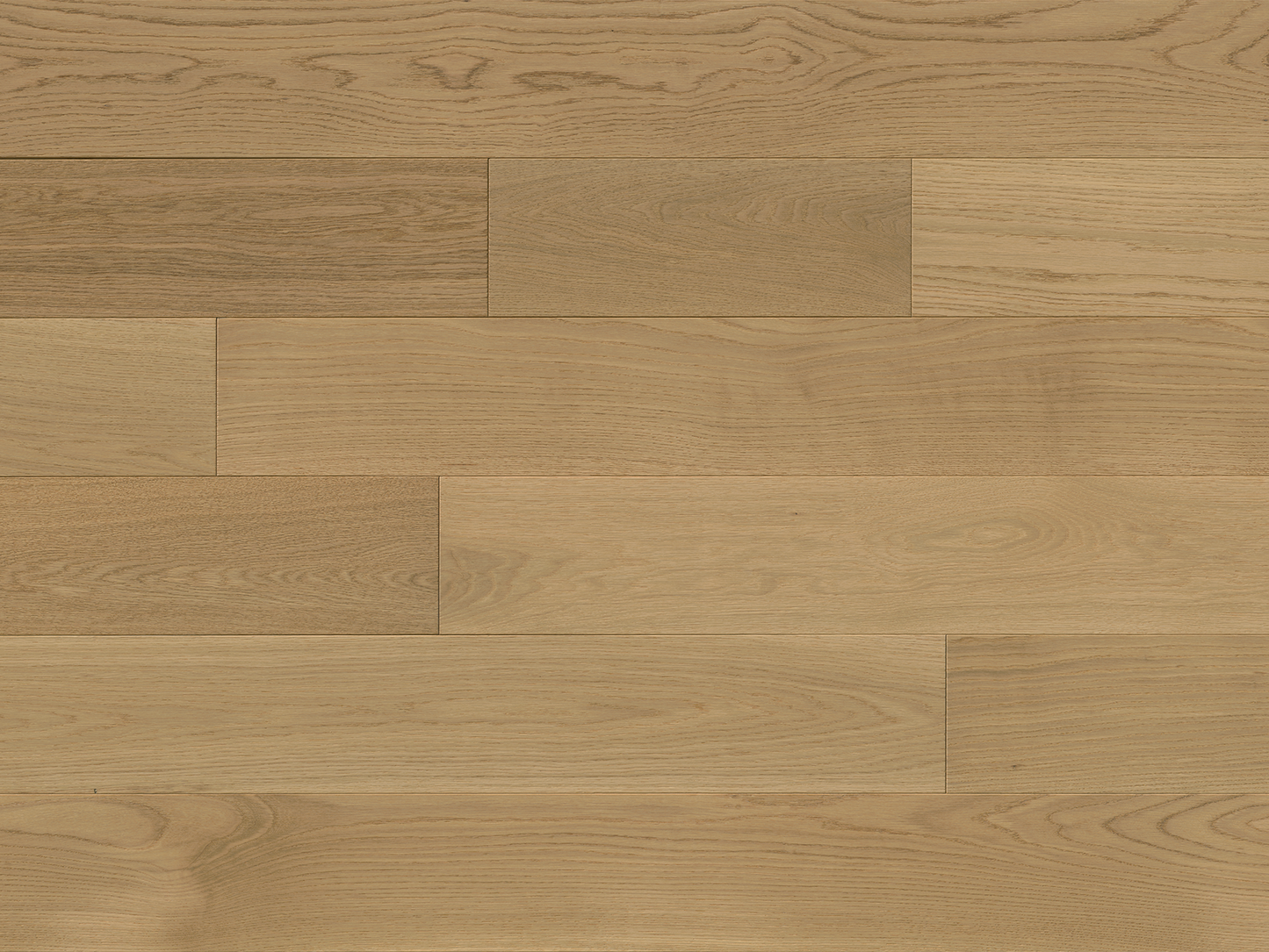 Sereno - White Oak Delfini