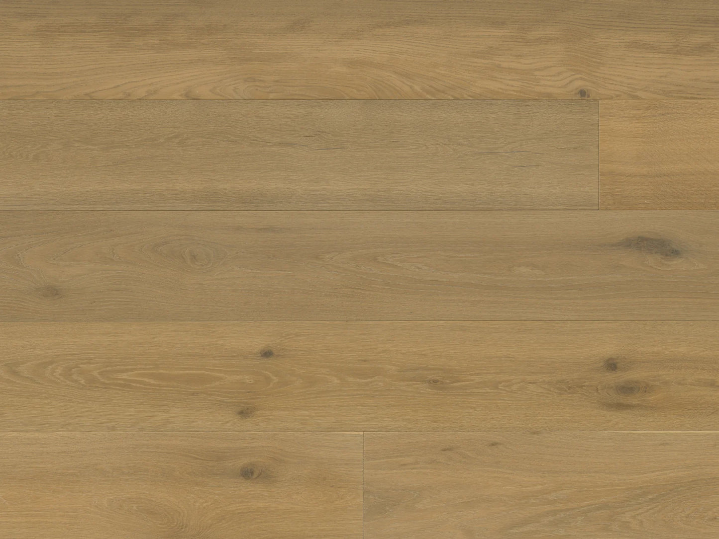 Terreno - Euro Oak Sila