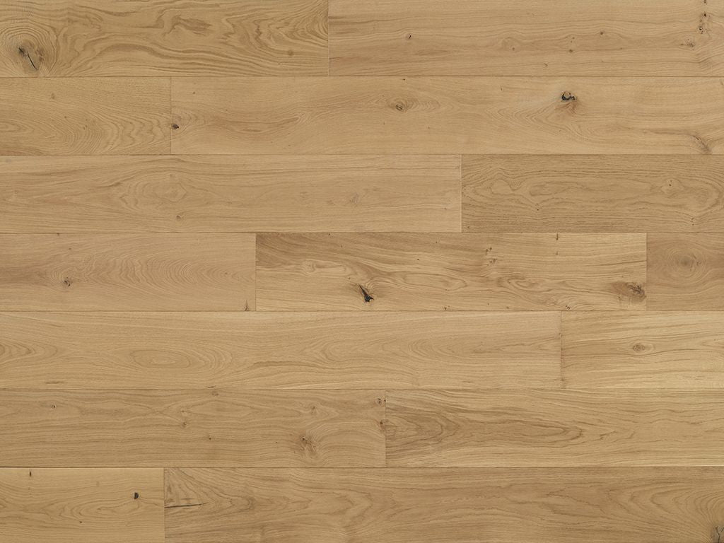Costa - Euro Oak Magno