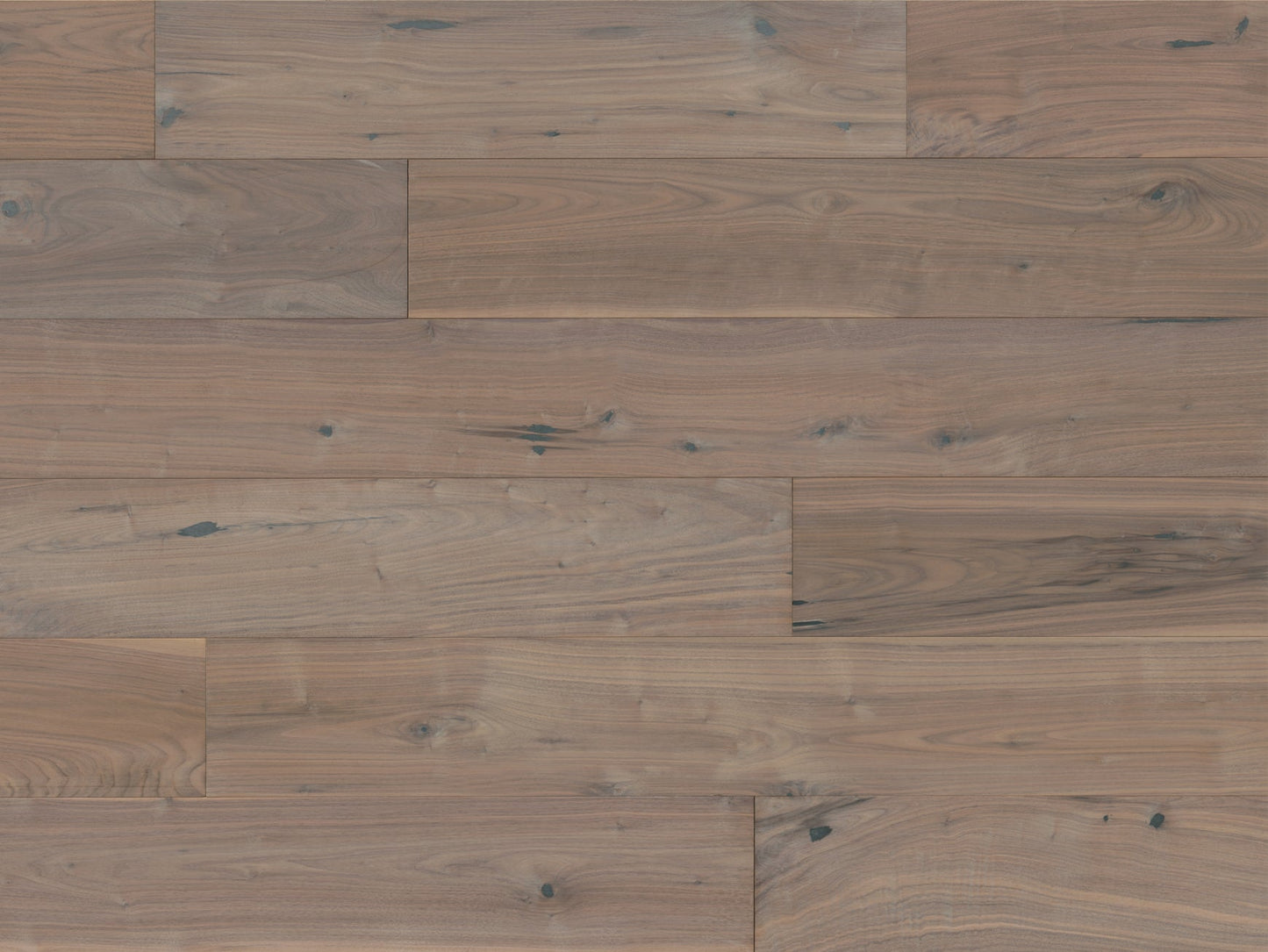 Sylvania - Walnut Clarion
