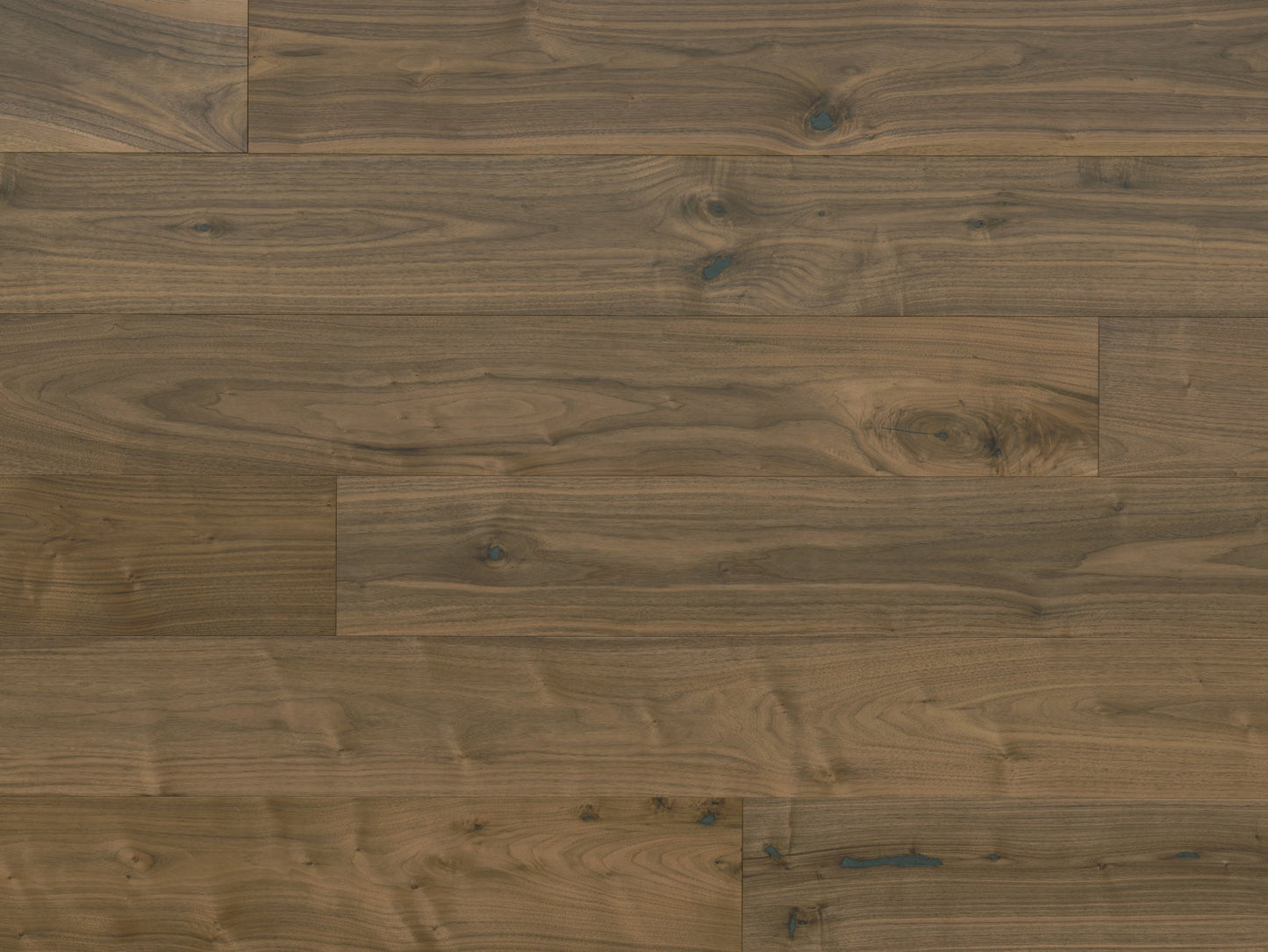 Sylvania - Walnut Natural