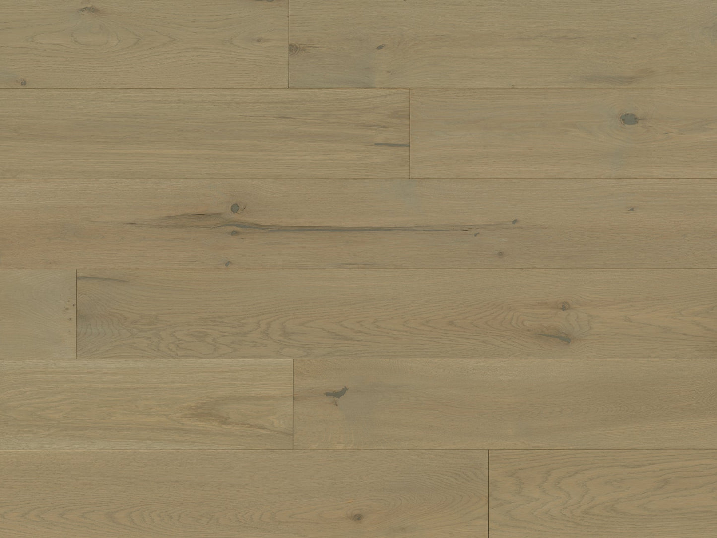 Sylvania - White Oak Fayette