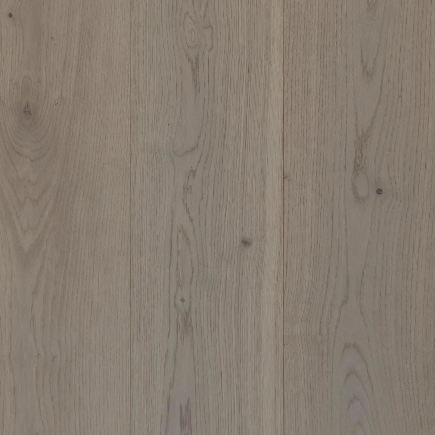 Gris Beige