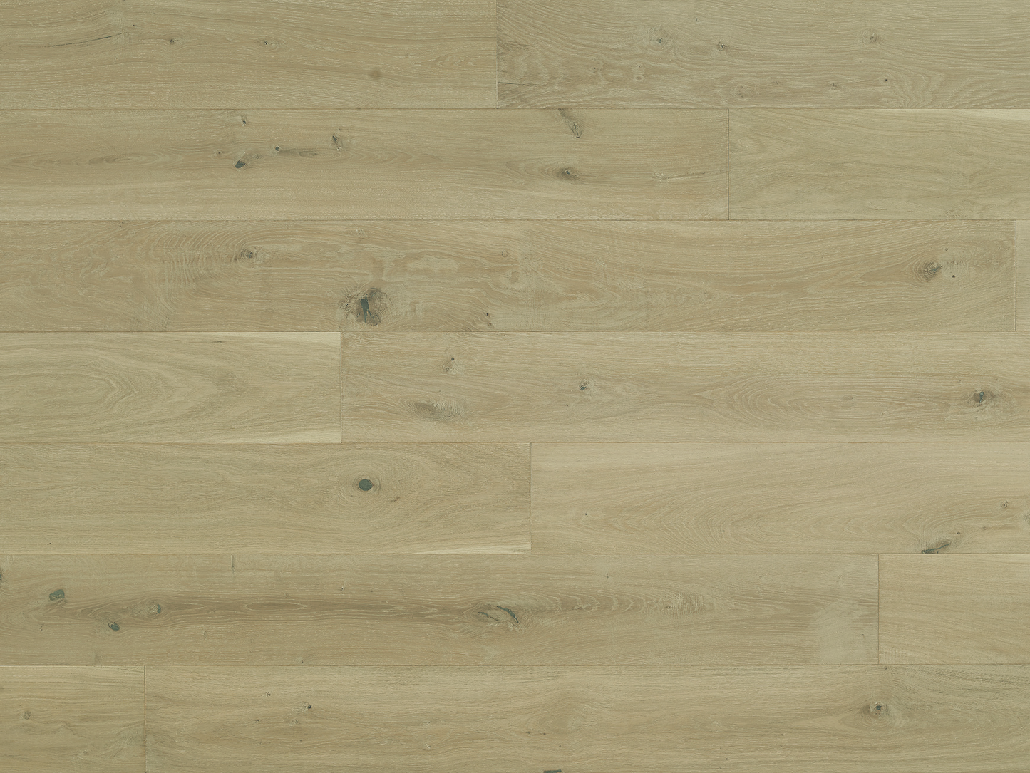 Costa - Euro Oak Luna