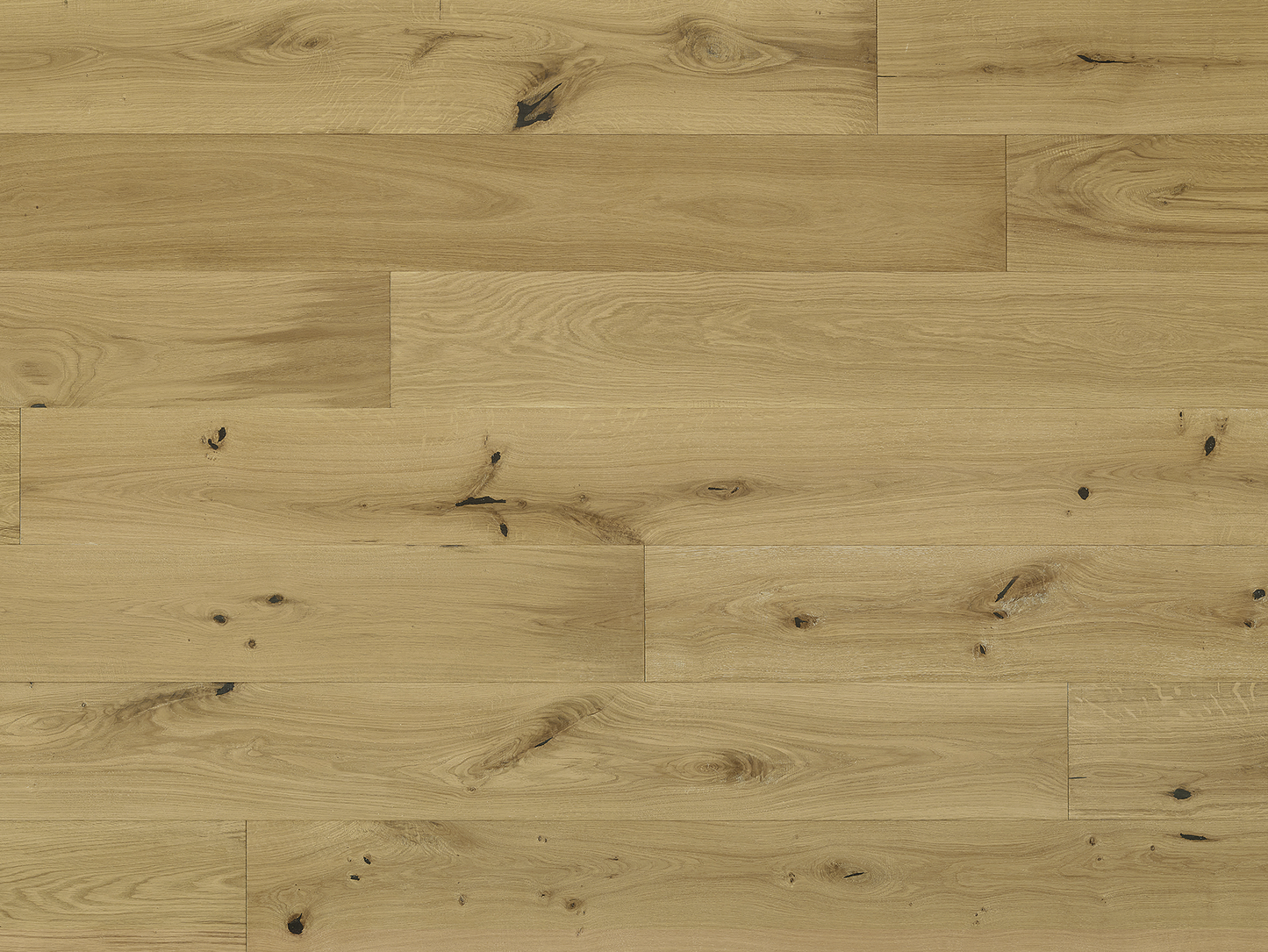 Costa - Euro Oak Vasto