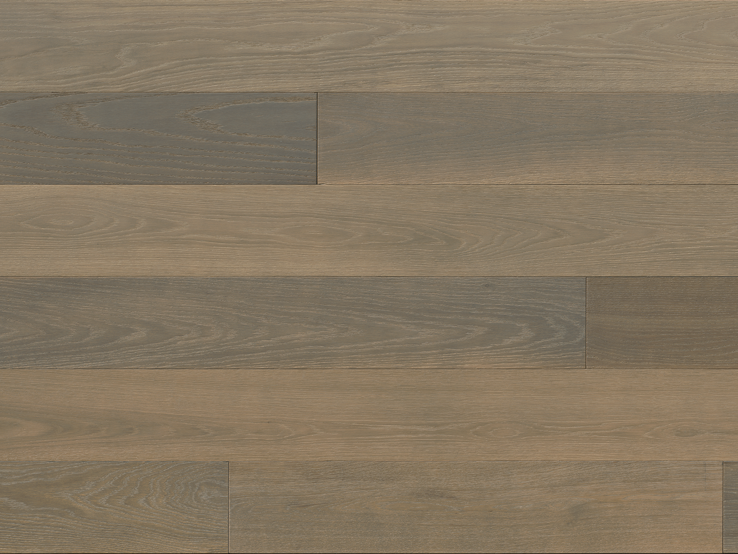Sereno - White Oak Corsi
